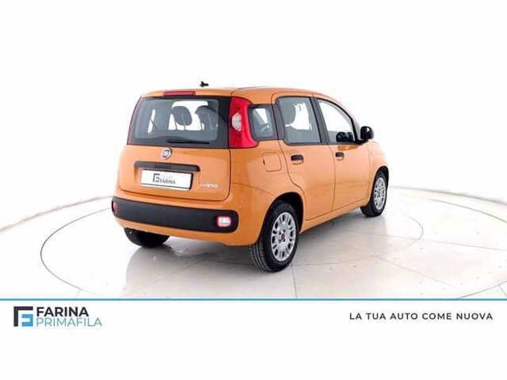 Fiat Panda usata a Napoli (4)