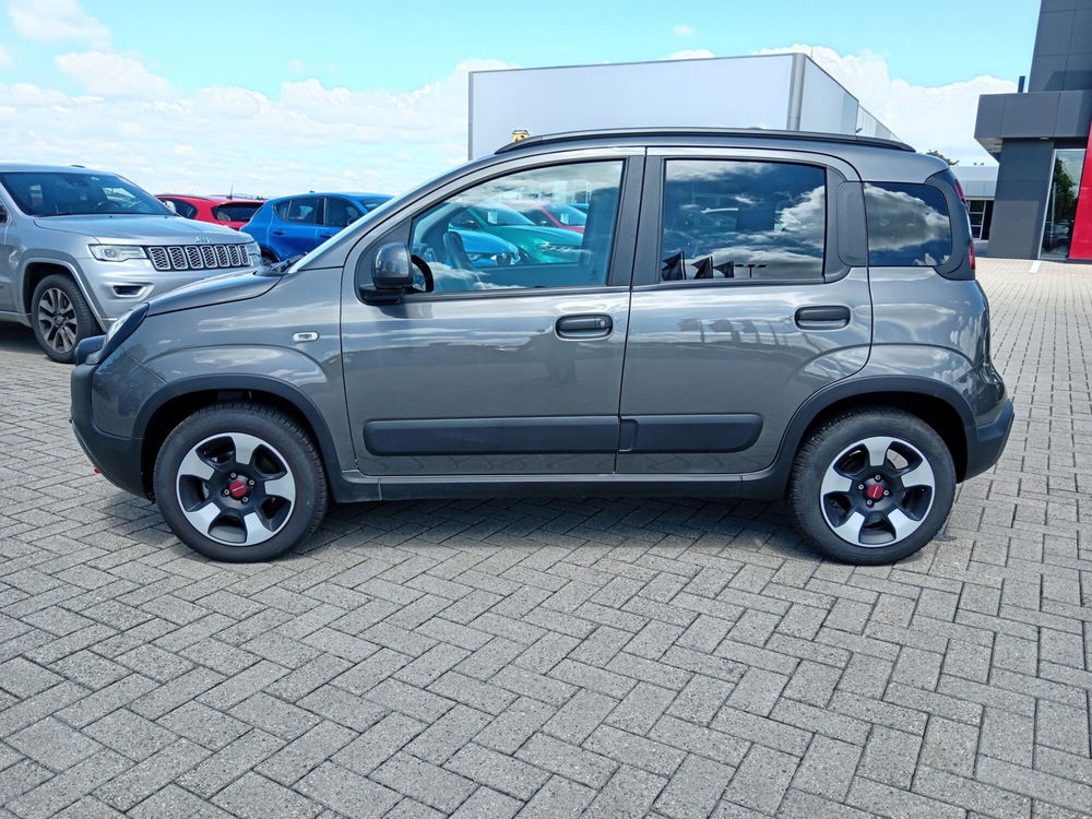 Fiat Panda Cross usata a Alessandria (9)