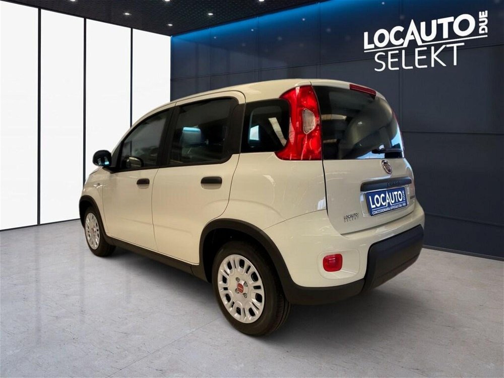 Fiat Panda 1.0 FireFly S&S Hybrid City Cross  nuova a Torino (5)