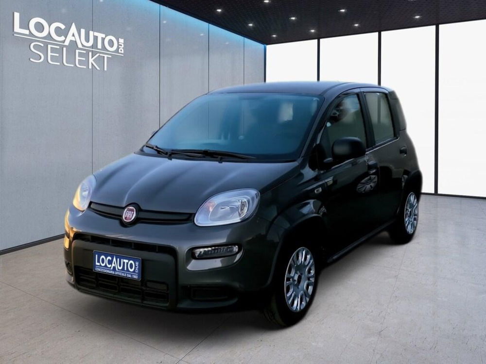 Fiat Panda Cross nuova a Torino