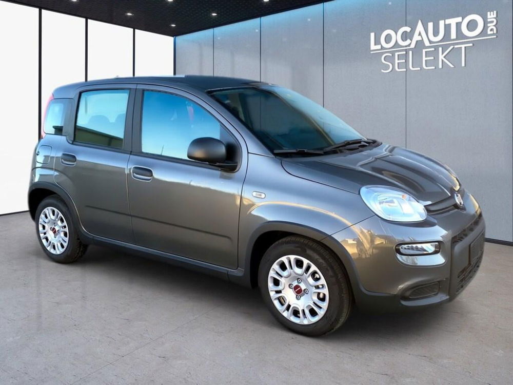 Fiat Panda Cross nuova a Torino (3)