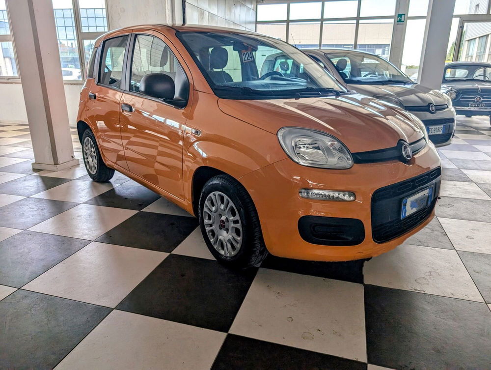 Fiat Panda usata a Arezzo