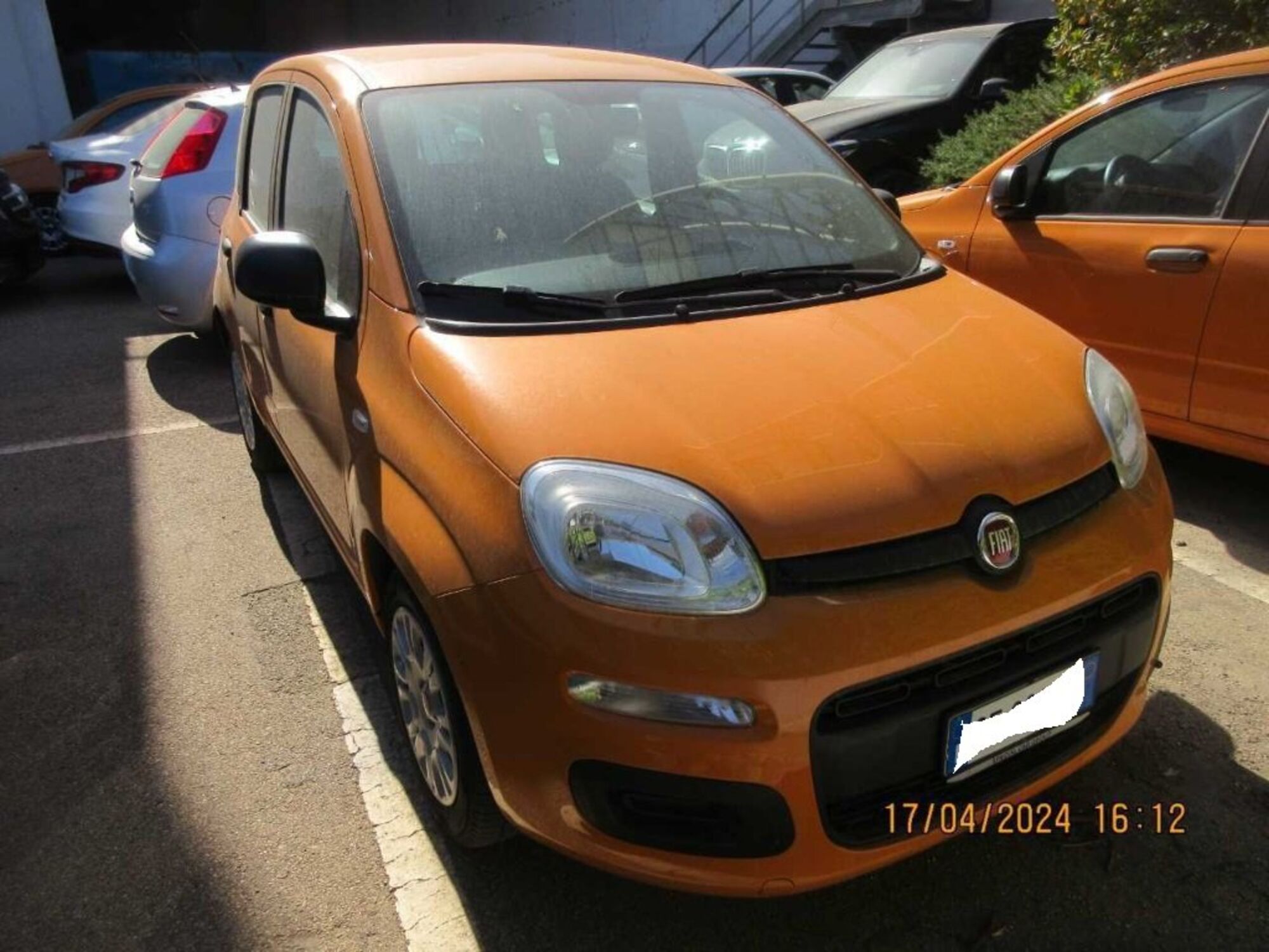 Fiat Panda 1.0 FireFly S&amp;S Hybrid City Cross  del 2021 usata a Cortona