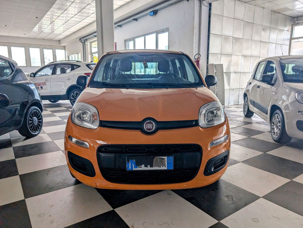 Fiat Panda usata a Arezzo (2)