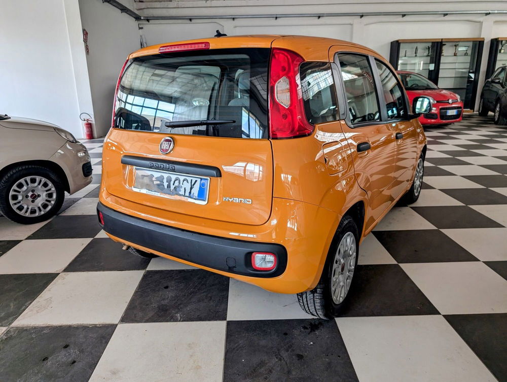 Fiat Panda usata a Arezzo (5)