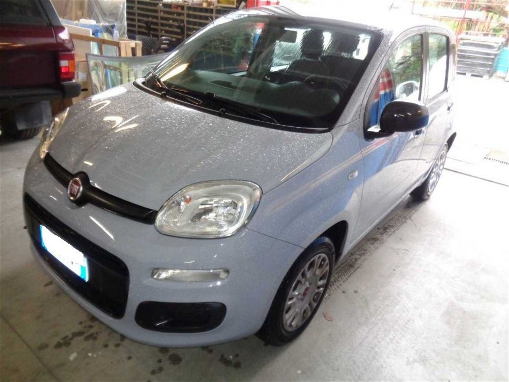 Fiat Panda 1.2 Easy  del 2019 usata a Cortona (3)