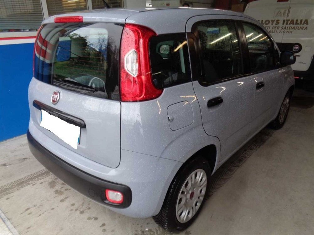 Fiat Panda 1.2 Easy  del 2019 usata a Cortona (4)