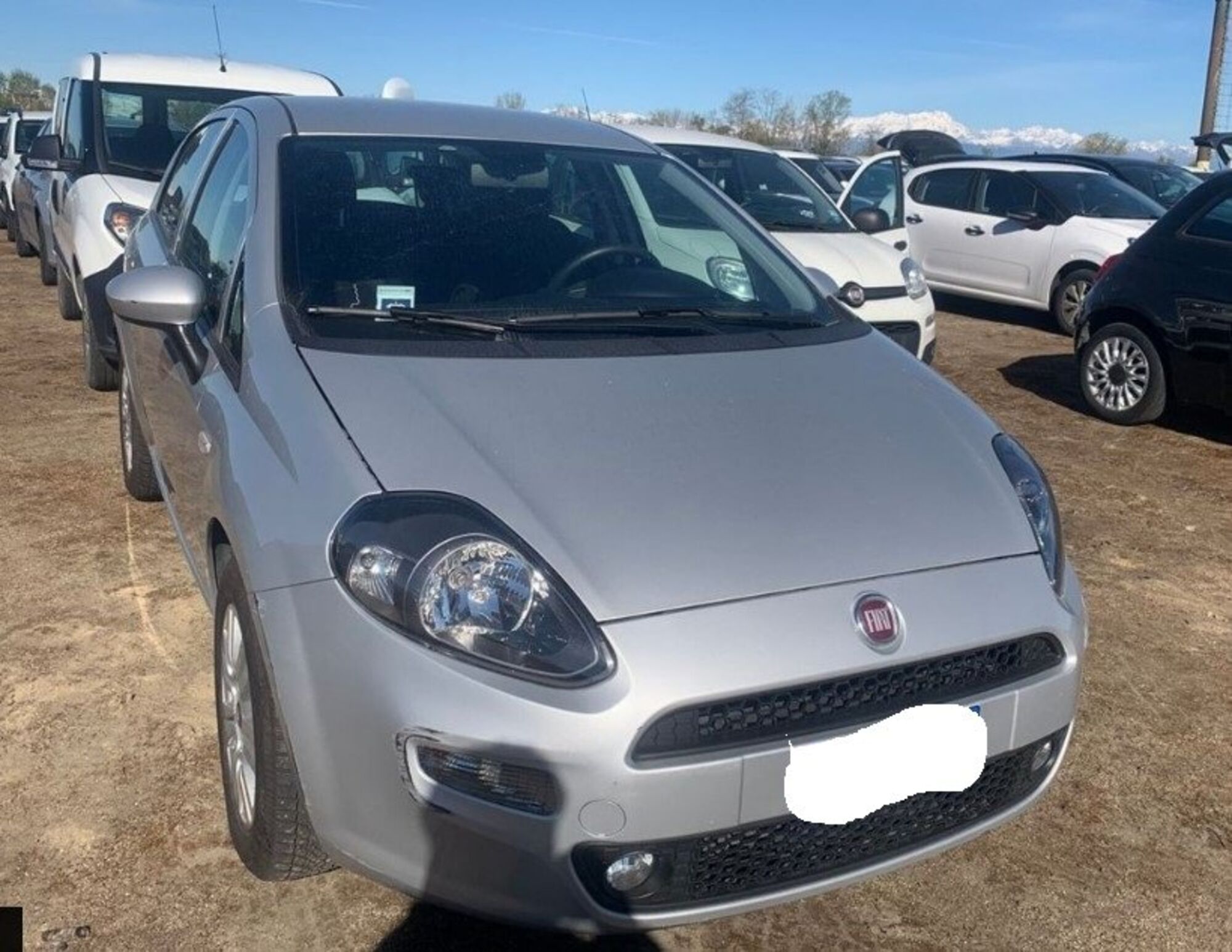 Fiat Punto 1.3 MJT II S&amp;S 95 CV 5 porte Lounge  del 2015 usata a Cortona