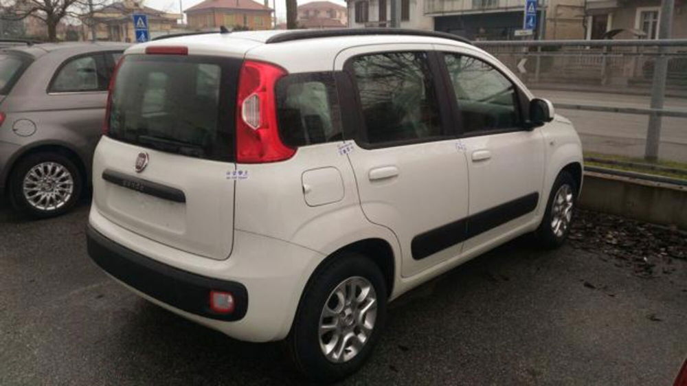 Fiat Panda nuova a Cuneo (2)