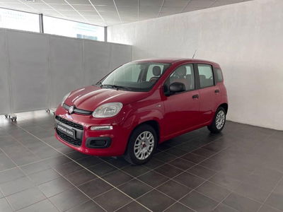 Fiat Panda 1.2 Easy  del 2016 usata a Torino