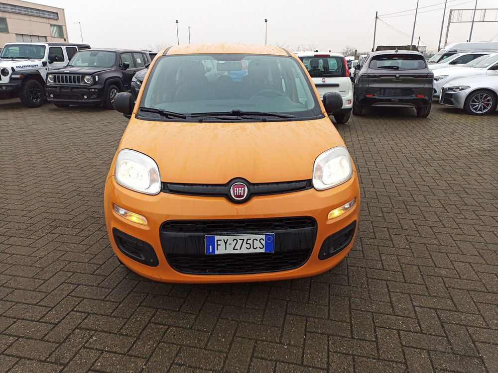 Fiat Panda usata a Alessandria (2)