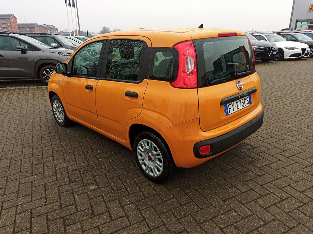 Fiat Panda usata a Alessandria (9)