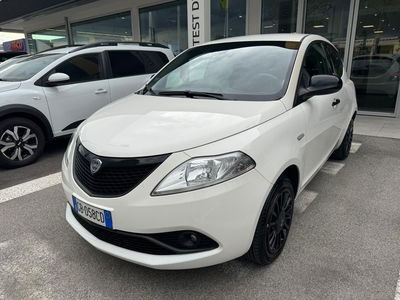 Lancia Ypsilon 1.2 69 CV 5 porte Gold  del 2020 usata a Montebelluna