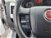 Fiat Ducato Furgone vetrato 33 2.3 MJT 130CV PLM-TM Furgone Vetrato  del 2017 usata a Terranuova Bracciolini (9)