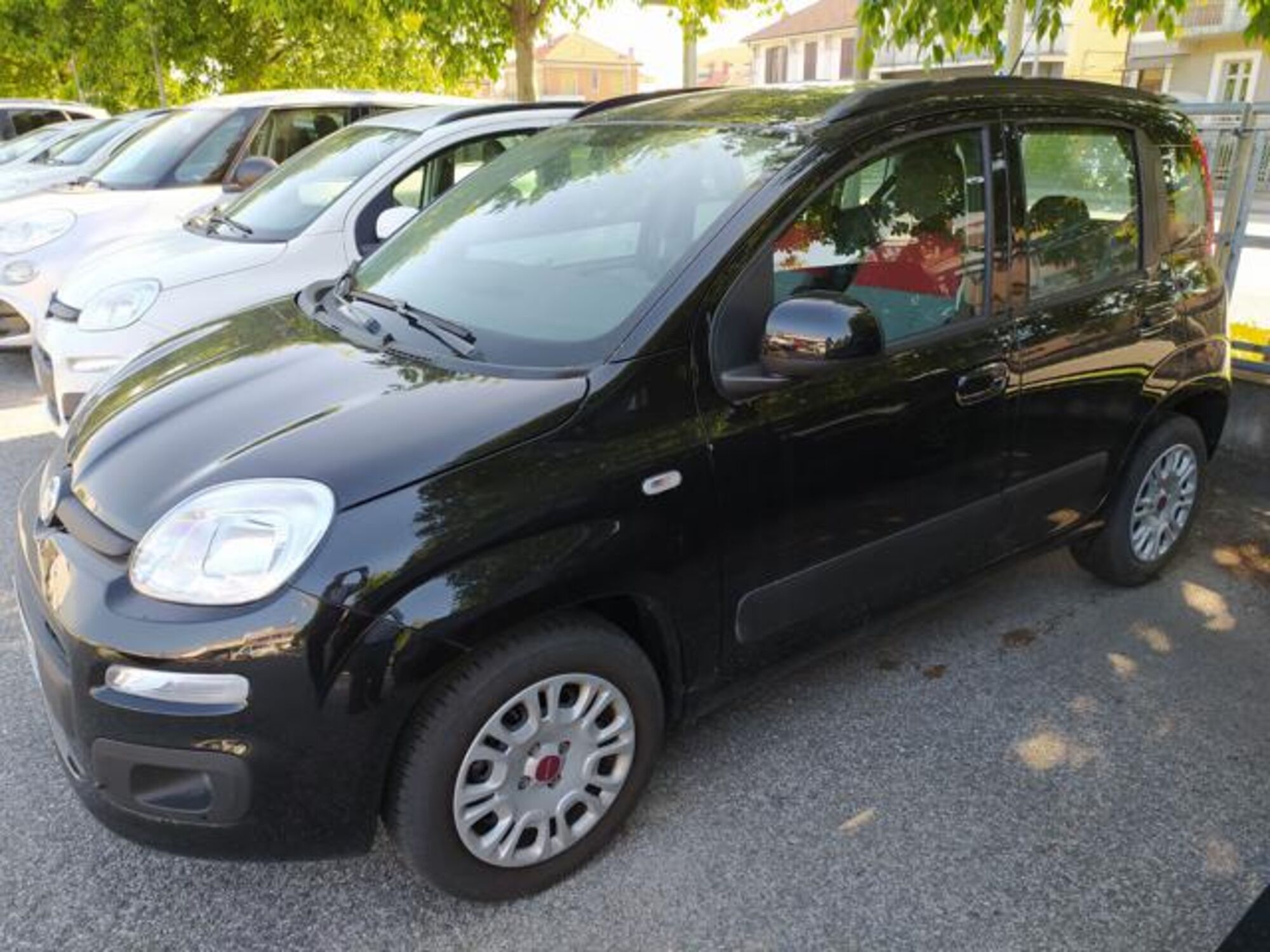 Fiat Panda 1.0 firefly hybrid s&amp;s 70cv 5p.ti nuova a Mondovi&#039;