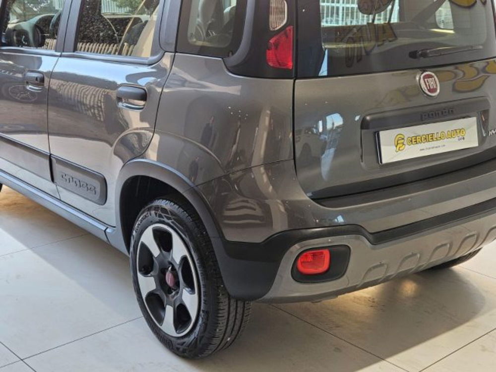 Fiat Panda Cross 1.0 firefly hybrid Cross s&s 70cv 5p.ti del 2022 usata a Somma Vesuviana (2)