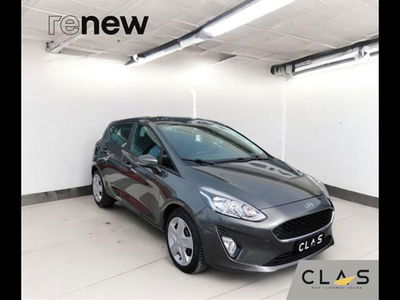 Ford Fiesta Plus 1.5 TDCi 75CV 5 porte  del 2018 usata a Livorno