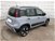 Fiat Panda 1.0 FireFly S&S Hybrid City Cross  del 2021 usata a Albano Vercellese (17)
