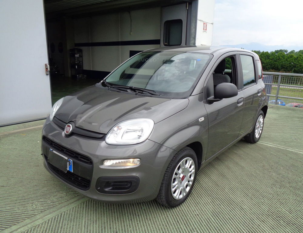 Fiat Panda Cross usata a Treviso