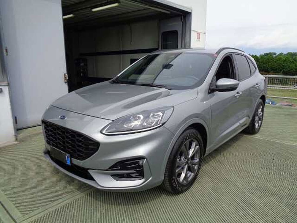 Ford Kuga usata a Treviso