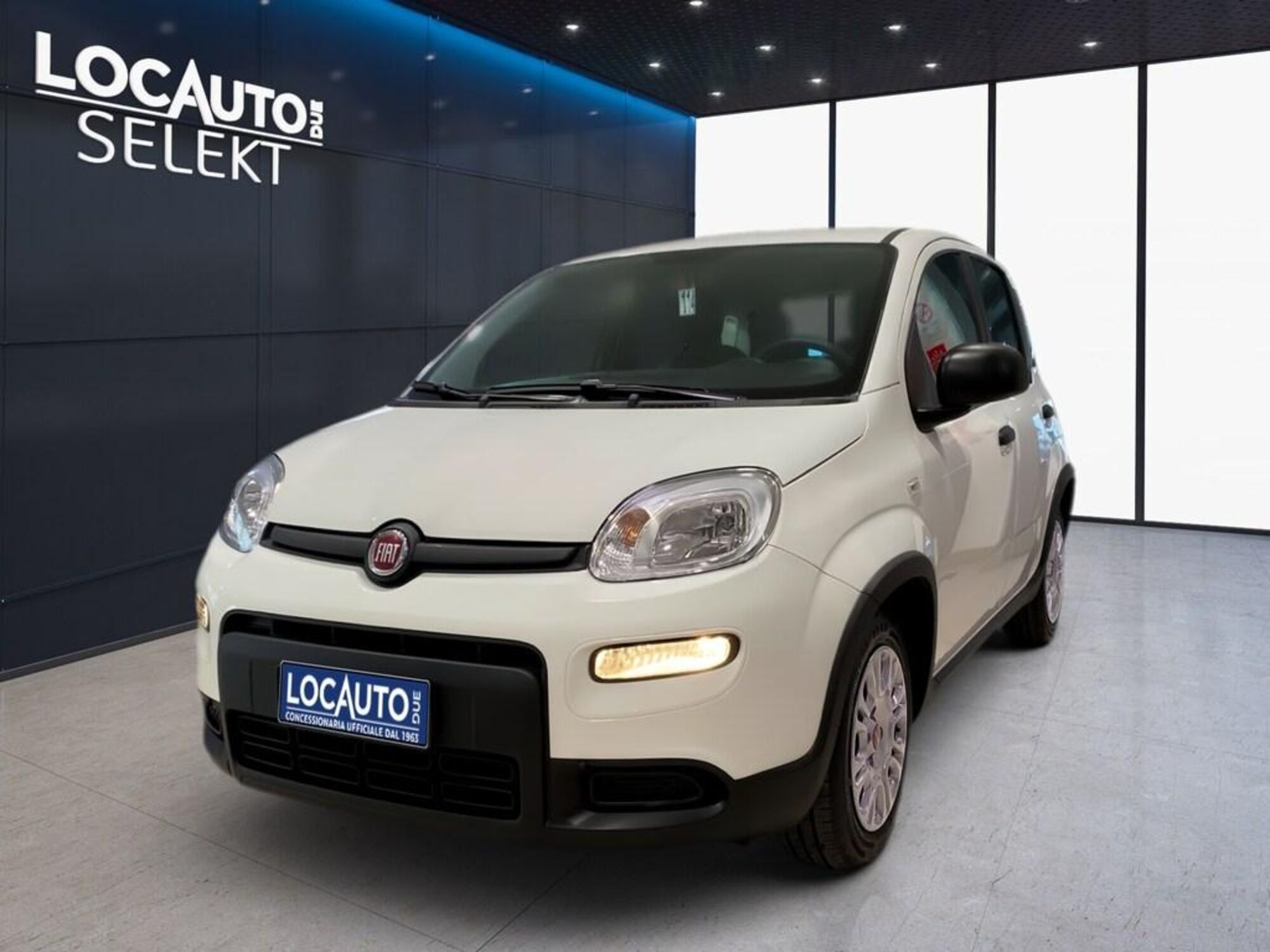 Fiat Panda 1.0 FireFly S&amp;S Hybrid Easy nuova a Torino