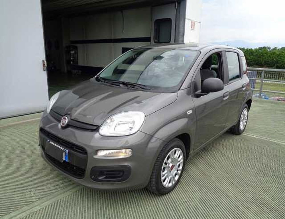 Fiat Panda Cross usata a Treviso