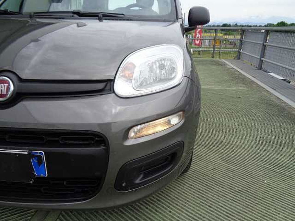 Fiat Panda usata a Treviso (5)