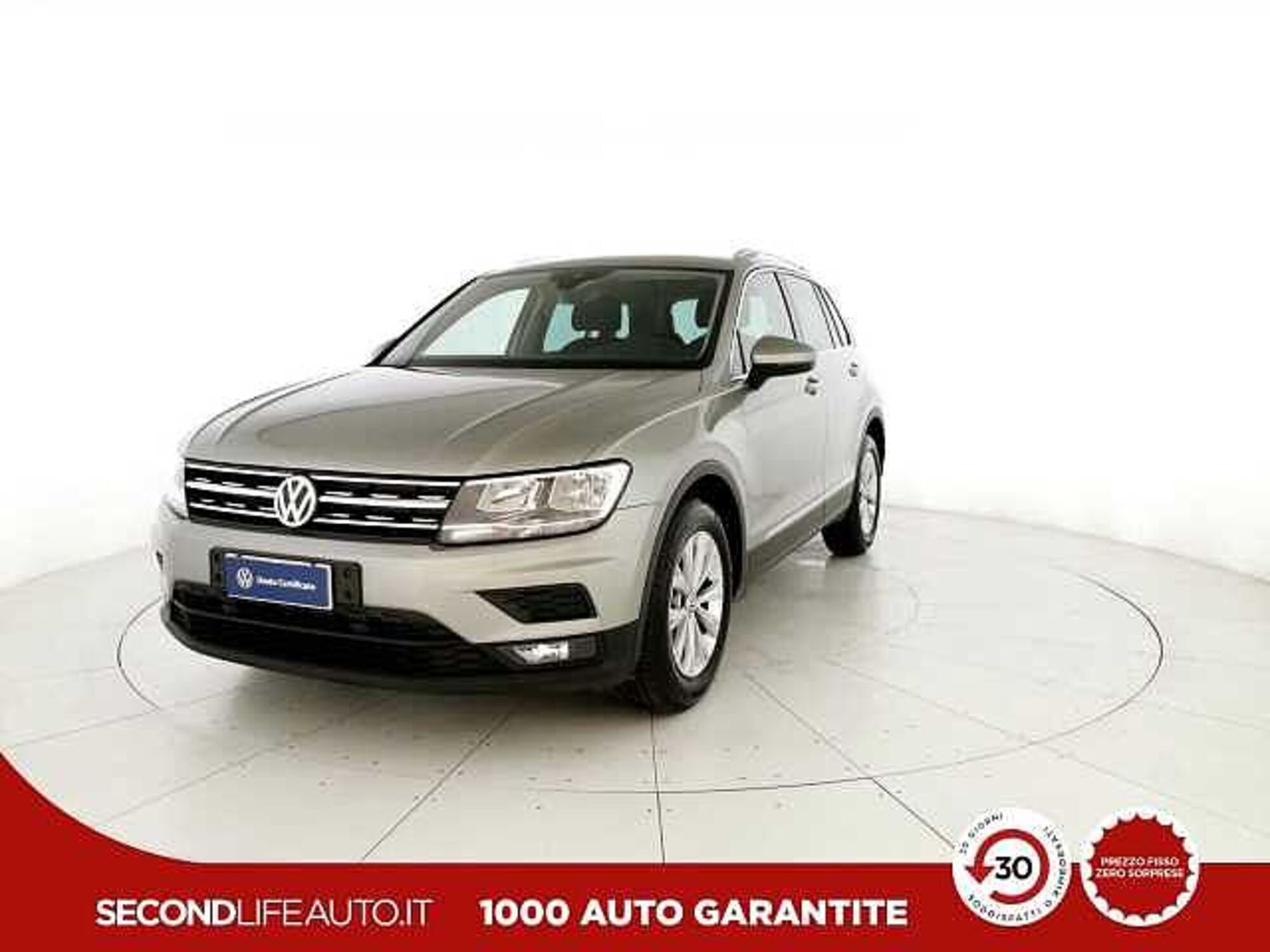 Volkswagen Tiguan 1.6 TDI SCR Business BlueMotion Technology  del 2019 usata a San Giovanni Teatino