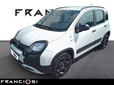 Fiat Panda 1.2 City Cross  del 2018 usata a Mirandola