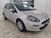 Fiat Punto 1.3 MJT II S&S 95 CV 5 porte Street  del 2018 usata a Cesena (11)