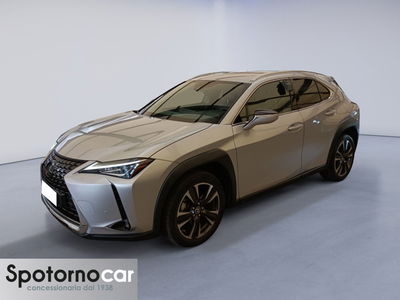 Lexus UX Hybrid Executive  del 2019 usata a Sesto San Giovanni