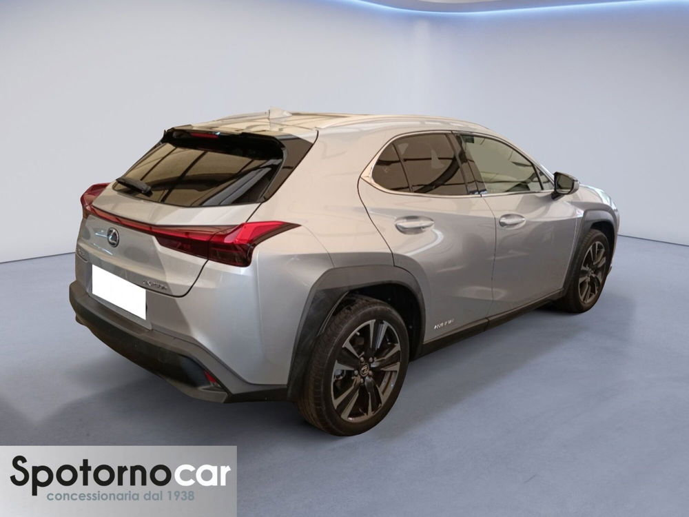 Lexus UX usata a Milano (19)