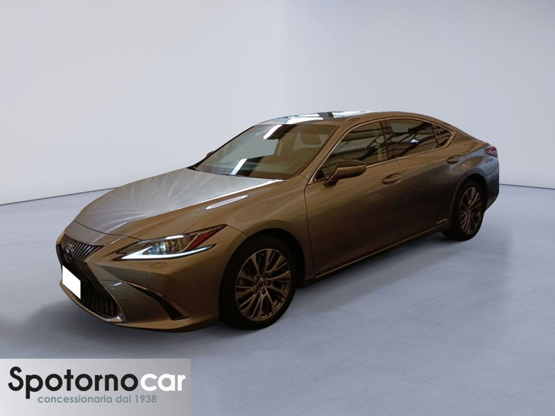 Lexus ES Hybrid FSport  del 2020 usata a Sesto San Giovanni