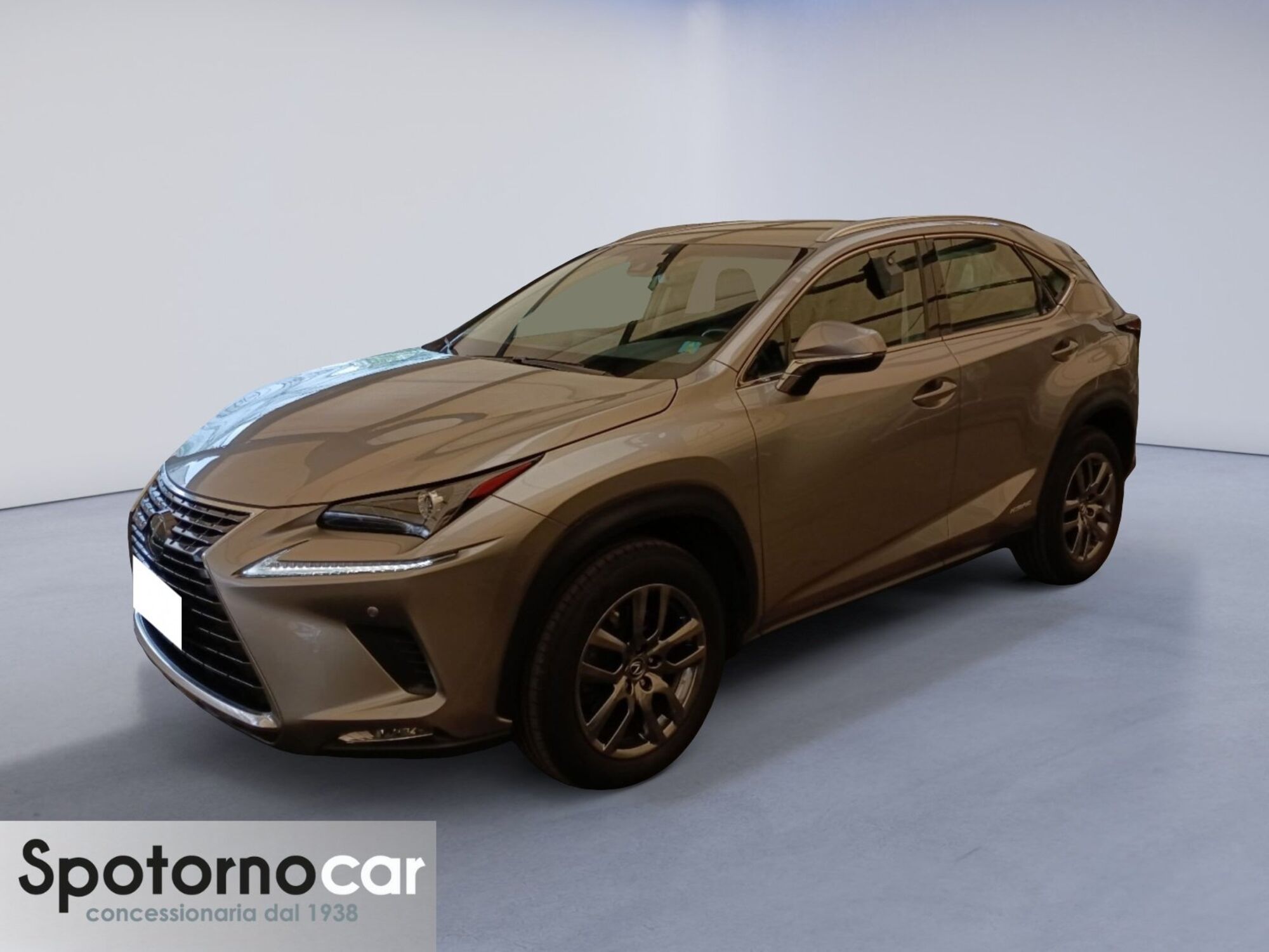 Lexus NX Hybrid 4WD Business  del 2018 usata a Sesto San Giovanni