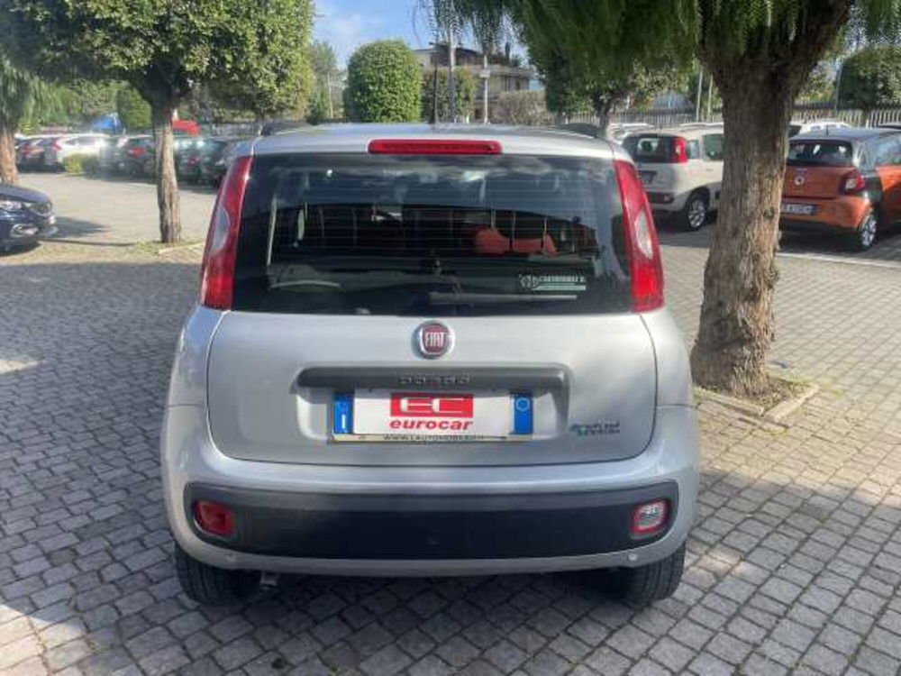 Fiat Panda usata a Napoli (5)