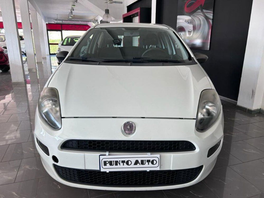 Fiat Punto 1.4 8V 5 porte Natural Power Young  del 2014 usata a Barberino Val d'Elsa