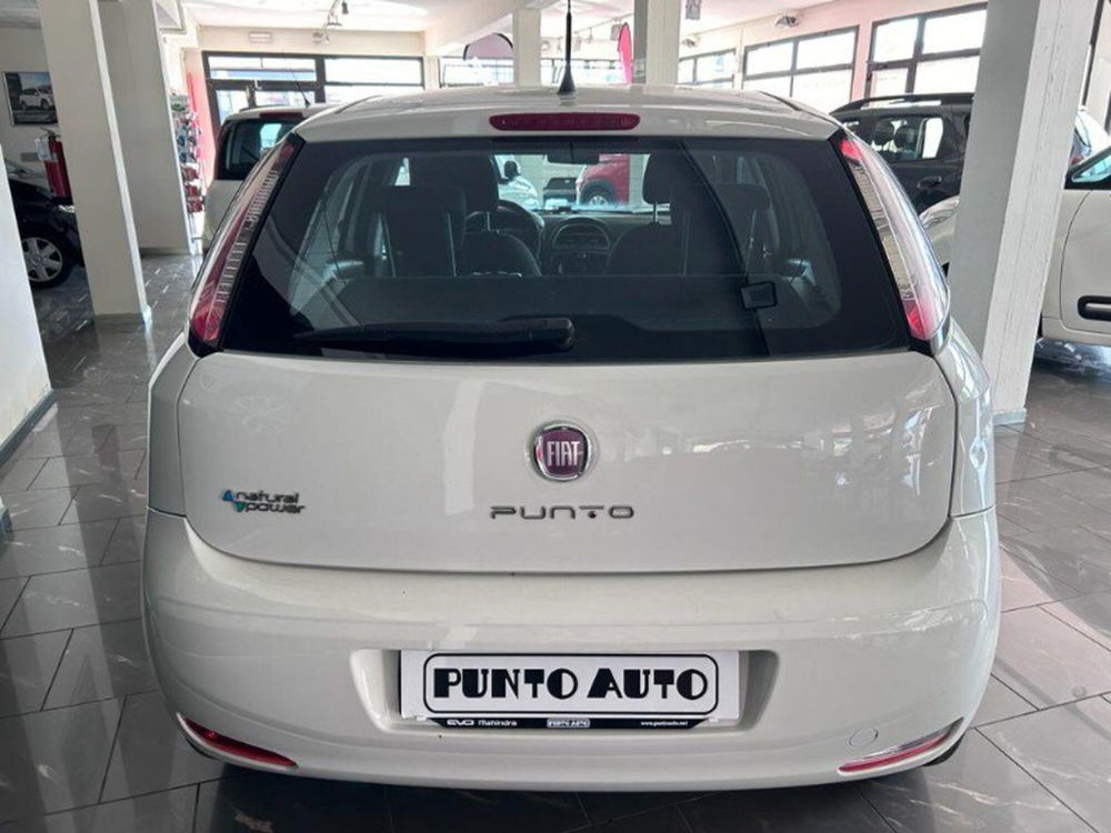 Fiat Punto usata a Firenze (2)