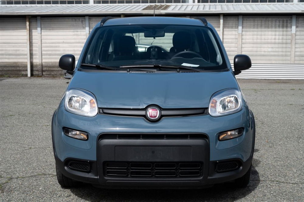 Fiat Panda usata a Torino (2)