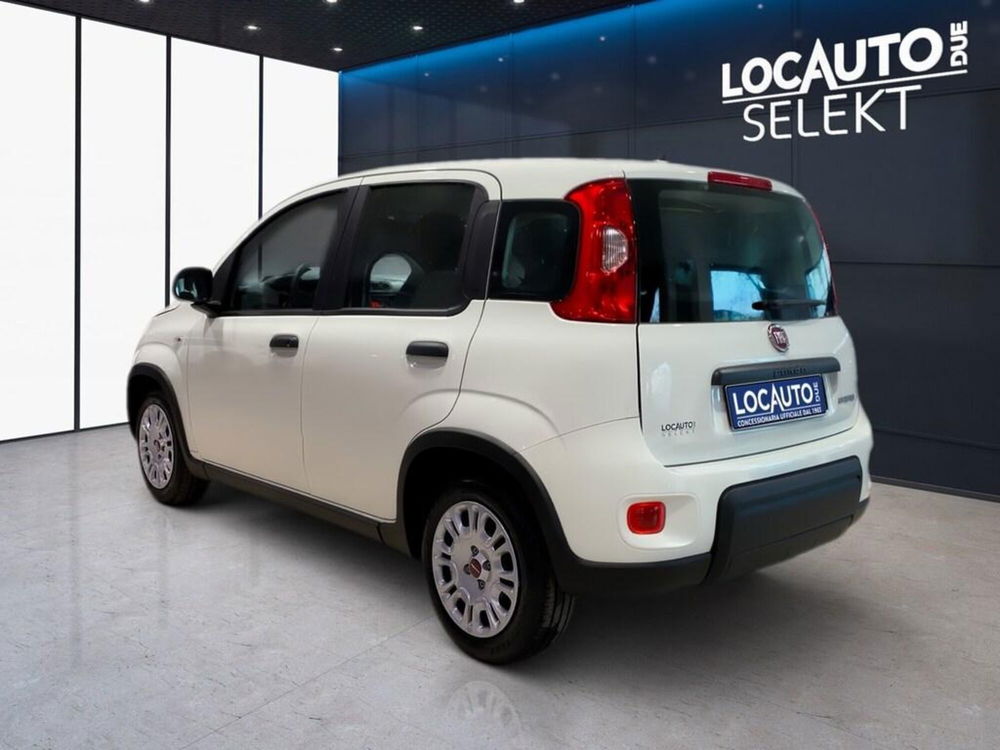 Fiat Panda 1.0 FireFly S&S Hybrid City Cross  nuova a Torino (5)