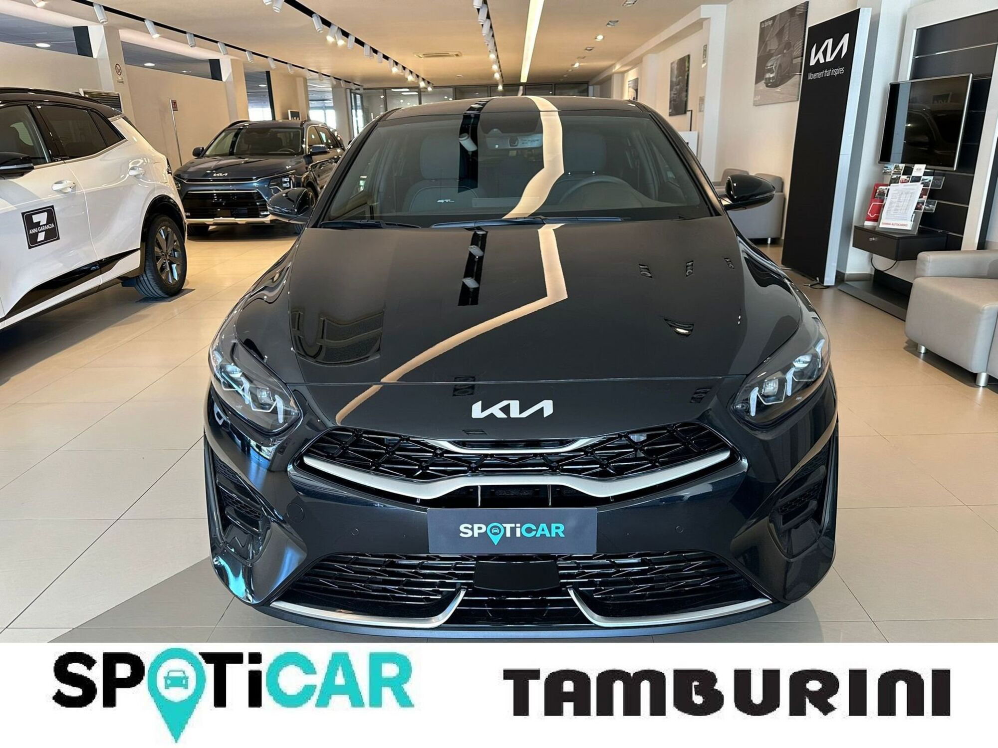 Kia ProCeed 1.5 T-GDI MHEV DCT GT Line  nuova a Cortona