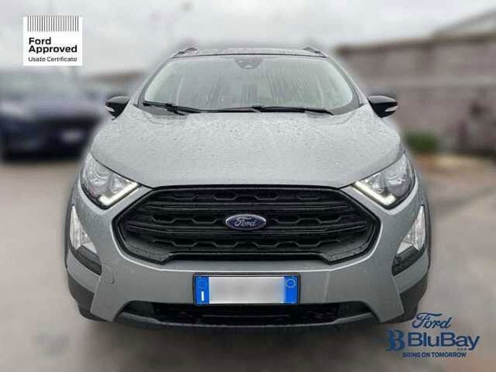 Ford EcoSport usata a Livorno (2)