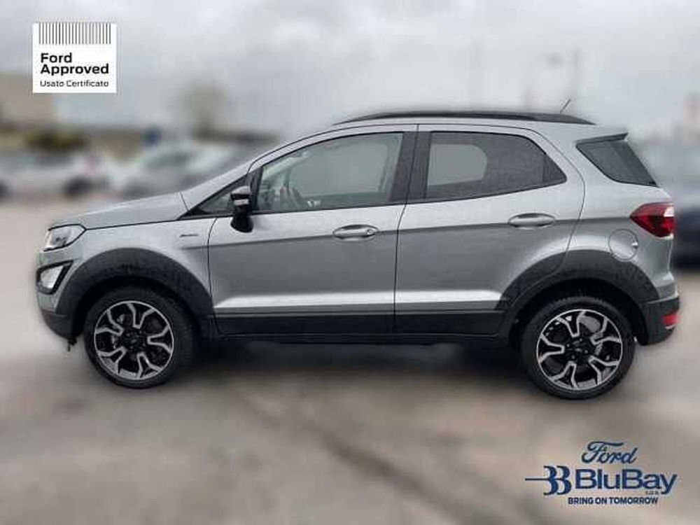 Ford EcoSport usata a Livorno (9)