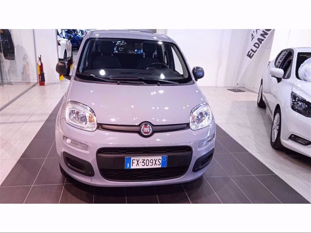 Fiat Panda 1.2 del 2019 usata a Trezzano sul Naviglio (2)