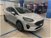 Ford Fiesta 1.0 Ecoboost 125 CV DCT Titanium del 2022 usata a Cesena (11)