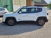 Jeep Renegade 1.6 Mjt 105 CV Business  del 2018 usata a Salerno (8)