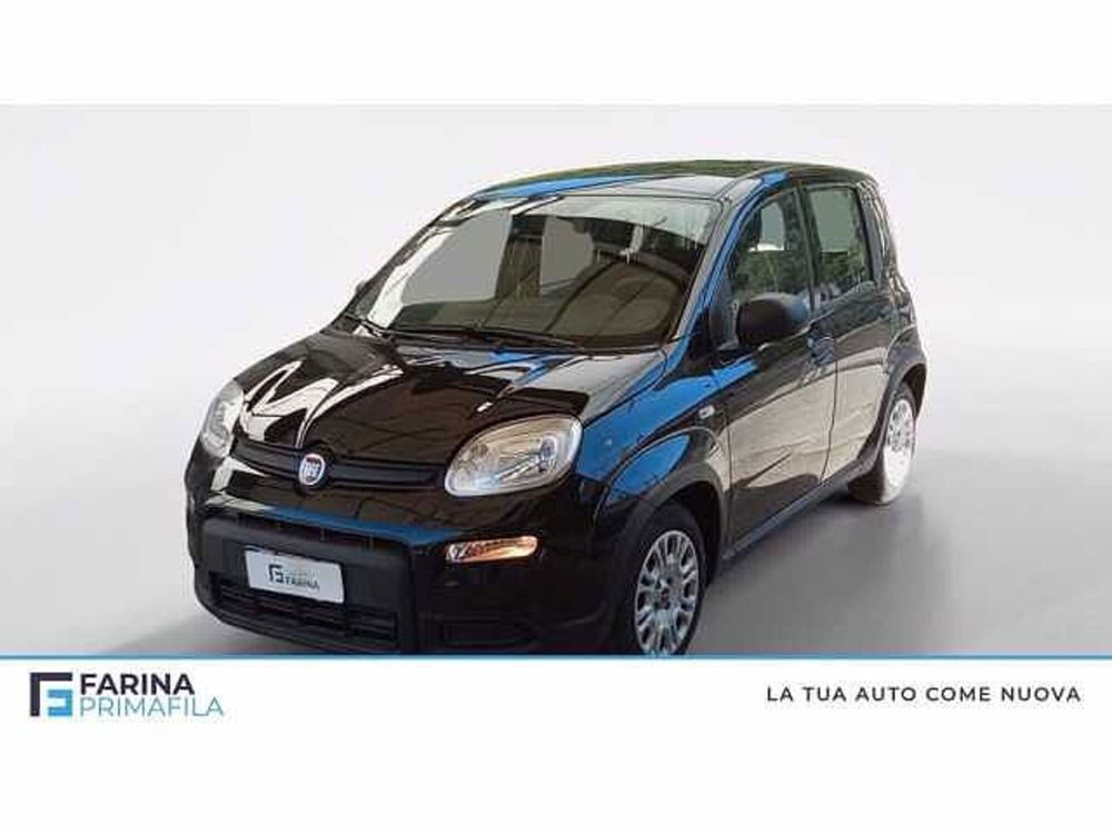 Fiat Panda usata a Napoli