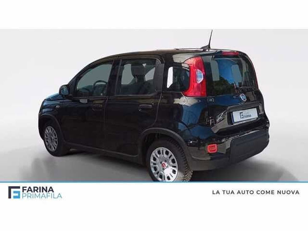 Fiat Panda usata a Napoli (3)