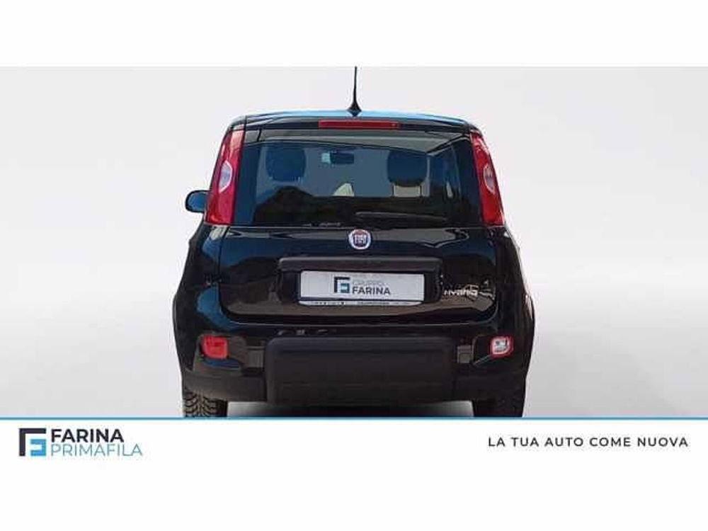 Fiat Panda usata a Napoli (4)