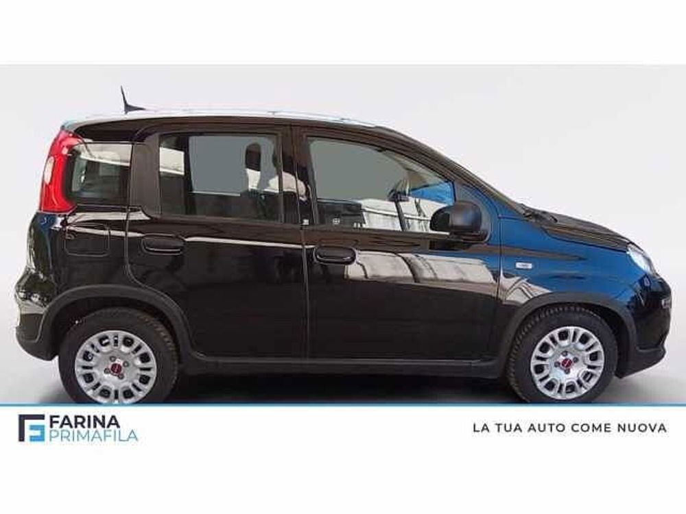 Fiat Panda usata a Napoli (6)