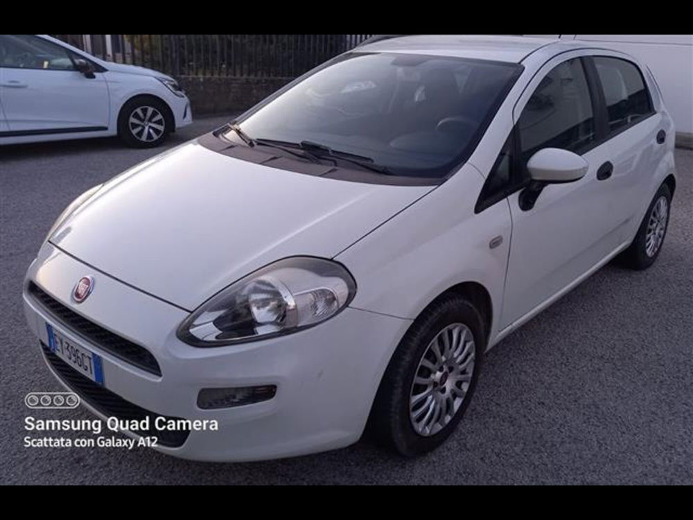 Fiat Punto 1.2 8V 5 porte Street  del 2015 usata a Palestrina